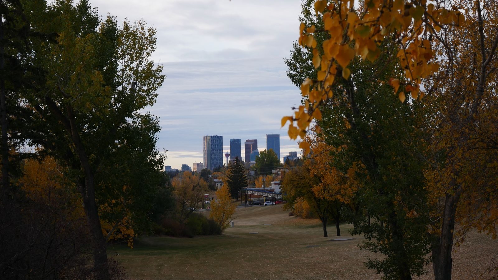 Downtown Calgary skyline surrounded by autumn foliage