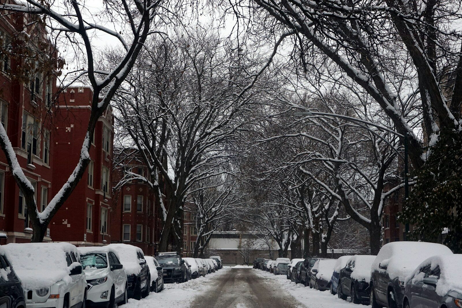 Snow-covered residential street lined with parked cars