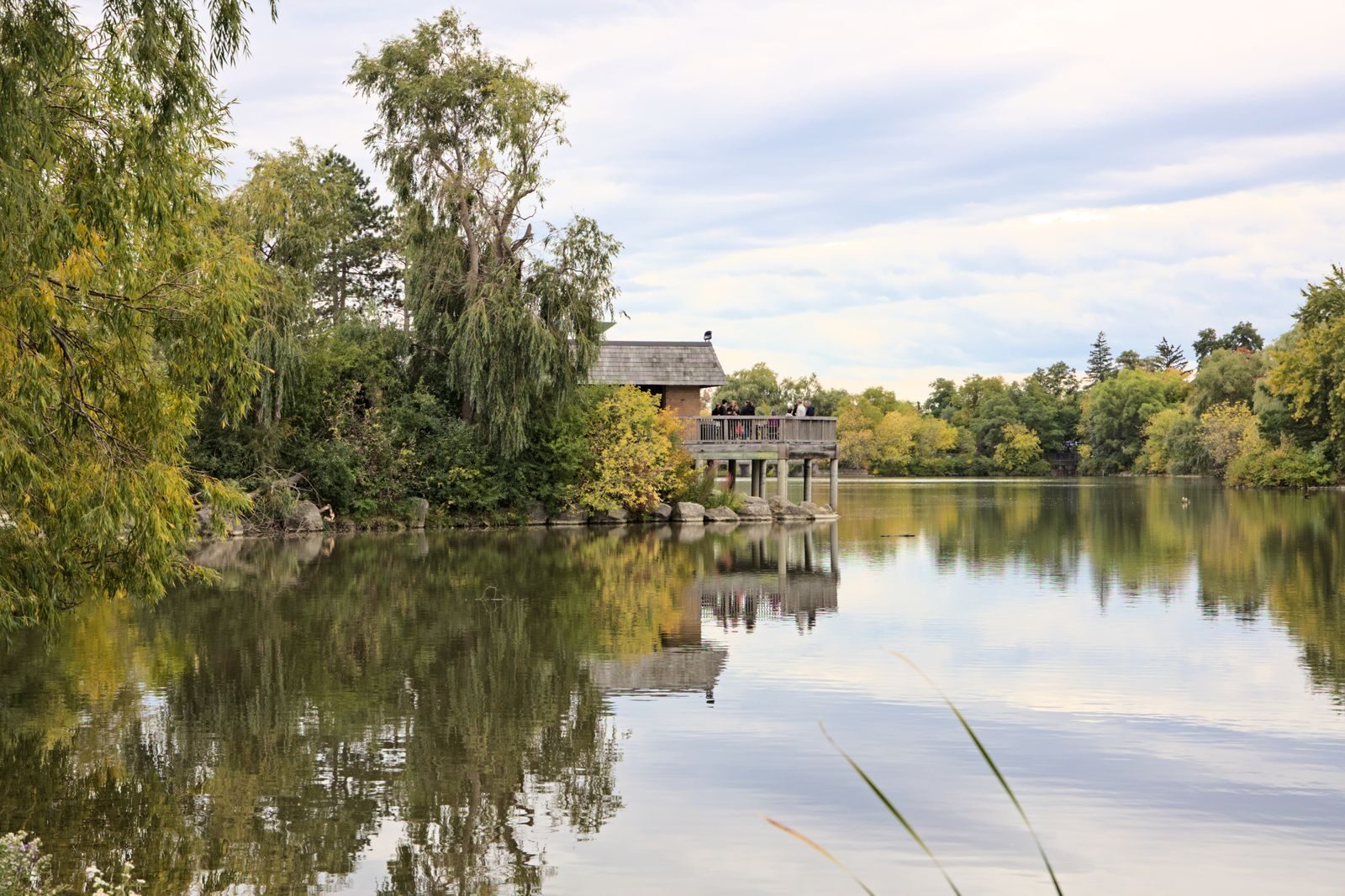 Lake surrounded by greenery in a Markham, Ontario park